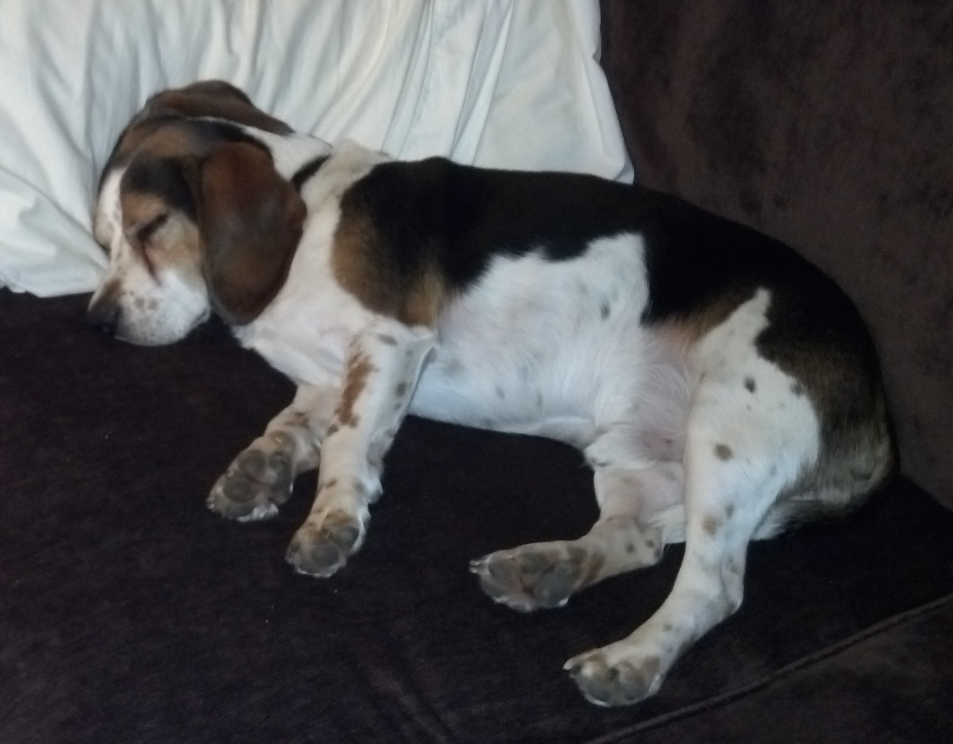 Galileo sleeping again