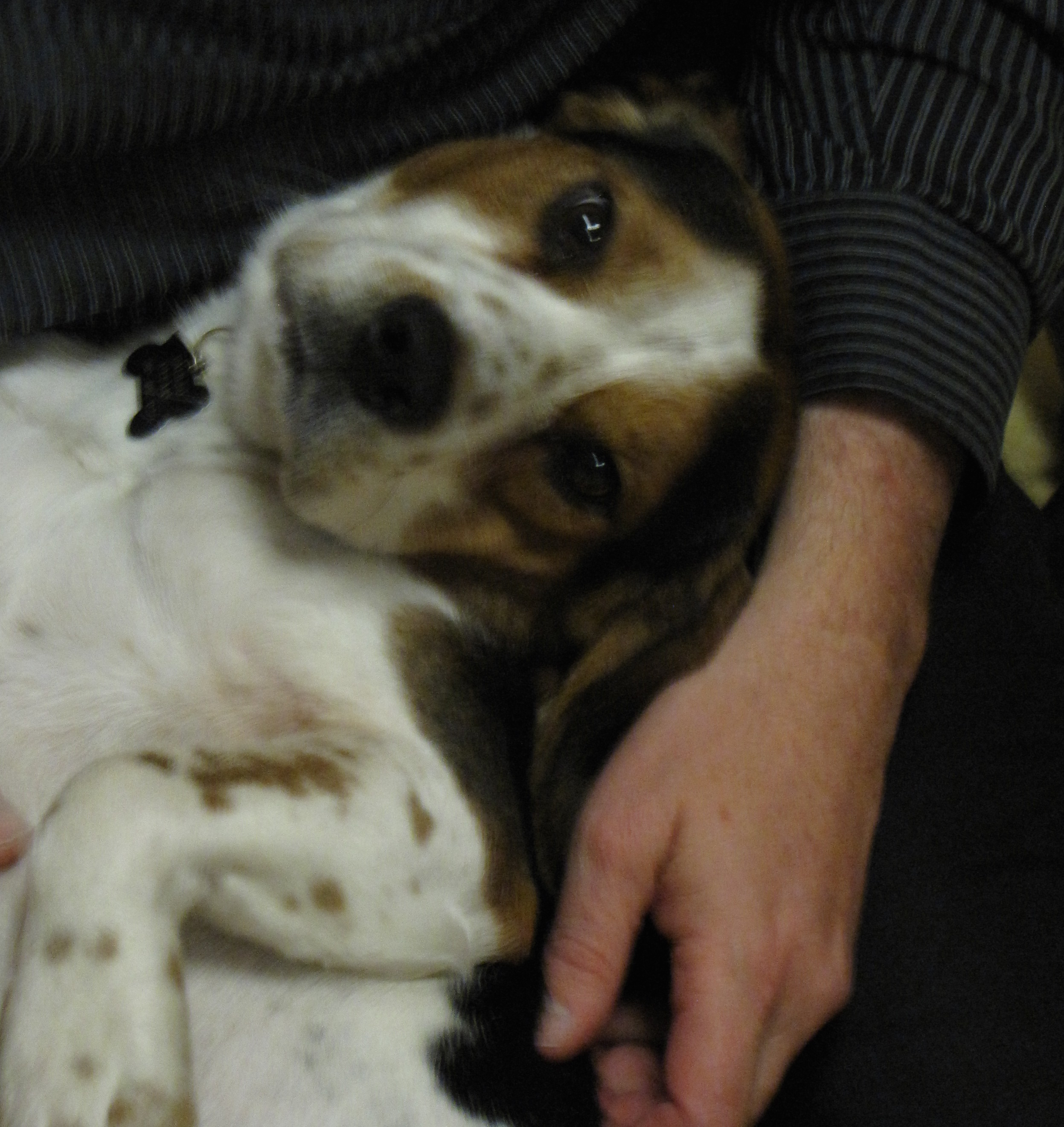 Galileo cuddling